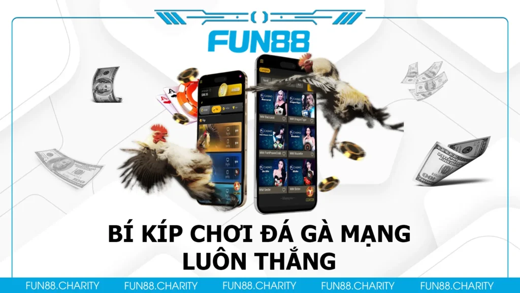 đá gà mạng fun88 02