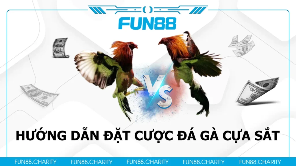 đá gà cựa sắt fun88 02