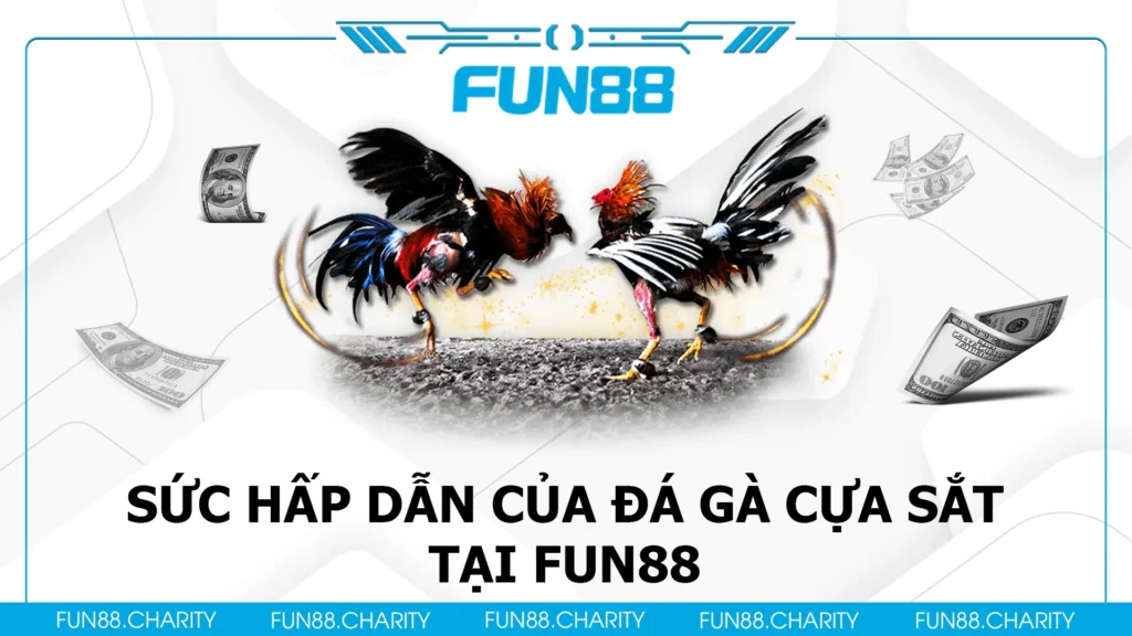 đá gà cựa sắt fun88 01